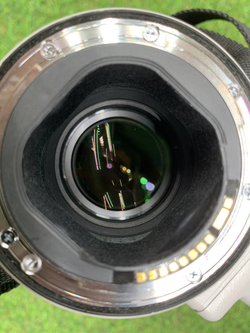 Canon EF 300mm f/2.8 L IS II USM