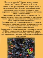 Перец острый Чёрные жемчужины острова Таити