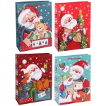 Пакет подарочный «Дедушка Мороз» 31*42*12 см, микс