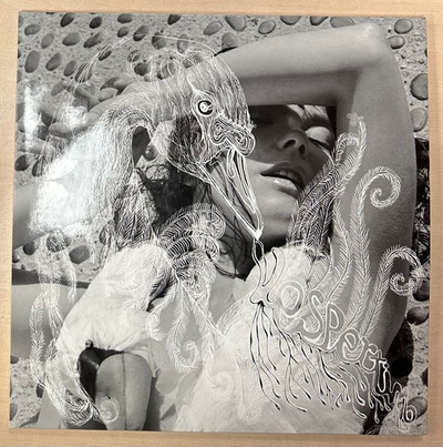 Bjork- Vespertine 2LP (Европа 2001г.)