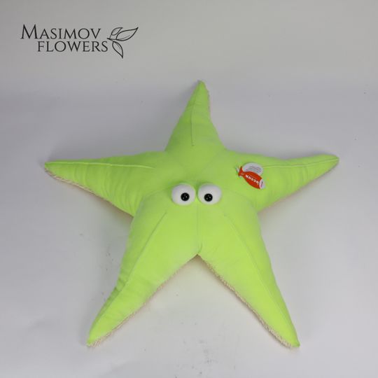 Морская звезда