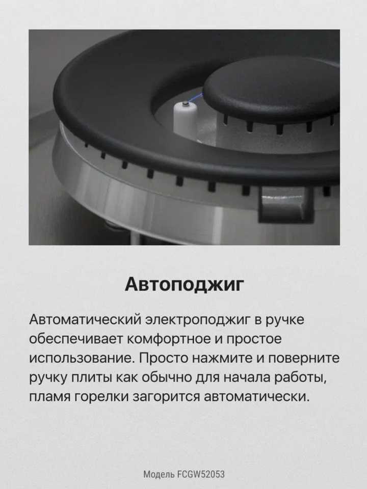 Газовая плита Hansa FCGW52053