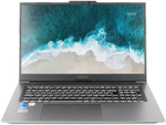 Ноутбук  Nerpa Caspica I552-17 17.3 ", Core i5, 16 Гб RAM, 1 Тб SSD, Iris Xe Graphics, Серый