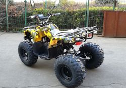 Квадроцикл GreenCamel Атакама T320 (48V 1000W R8 Дифференциал)