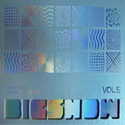 Альбом BIGBANG - BIG SHOW 2010 Live Concert Album