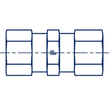 Клапан обратный с внутренней резьбой M22x1.5 впускной CAST
