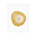 Постер Prints Gold Foil: Tree Rings set of 4 арт.110875
