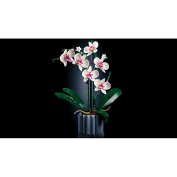 LEGO Botanicals - Орхидея 10311
