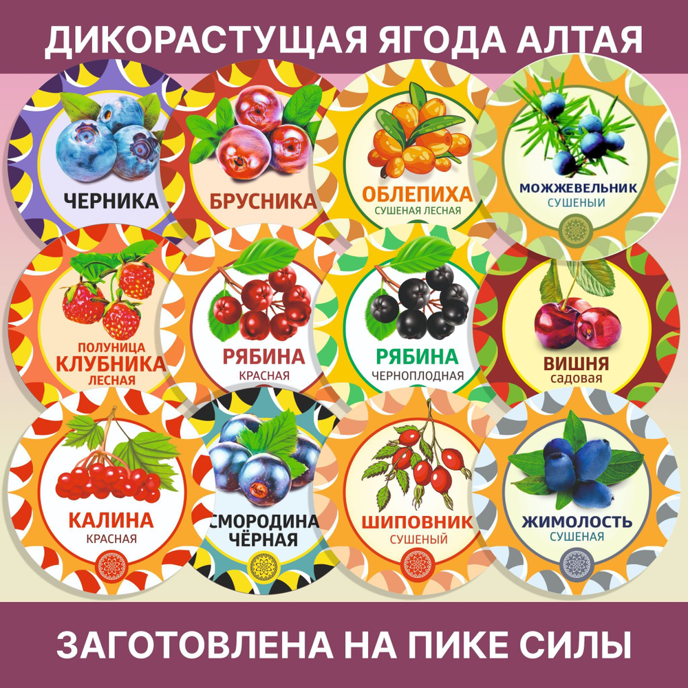 Шиповник Вятский молотый.
