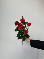 АКЦИЯ - красная кустовая роза - цена действует при заказе от 25шт