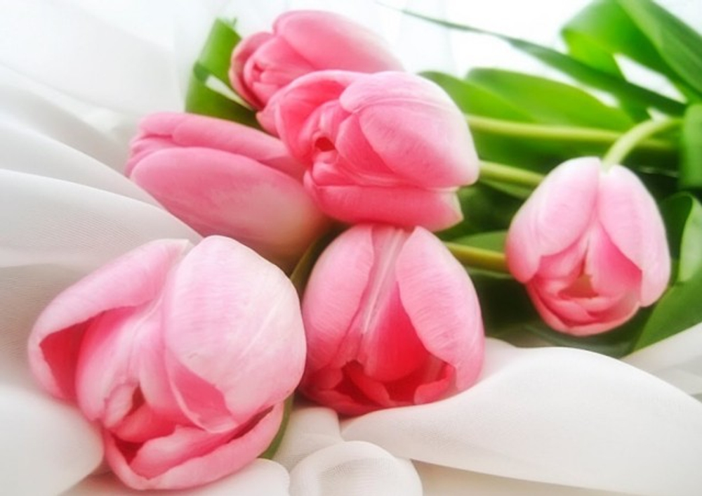 Букет тюльпанов 3шт