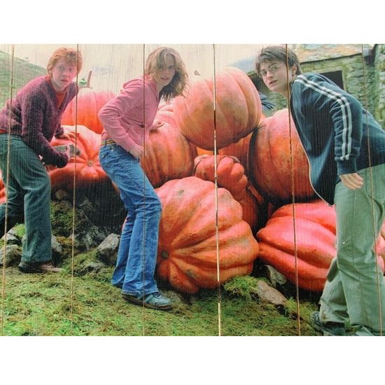 Картина на досках Гарри Поттер (44x66 см)