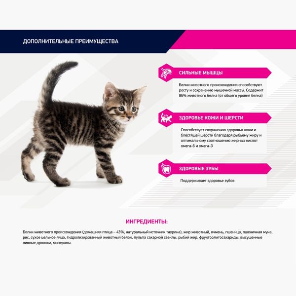 Сухой корм Eukanuba Kitten Healthy Start для котят, беременных и кормящих кошек