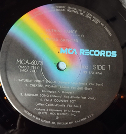 Винтажная виниловая пластинка LP Lynyrd Skynyrd Nuthin Fancy (Japan 1975) (Obi Copy)