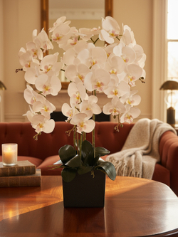 Искусственные Орхидеи белые 5 веток 75см в кашпо Лофт