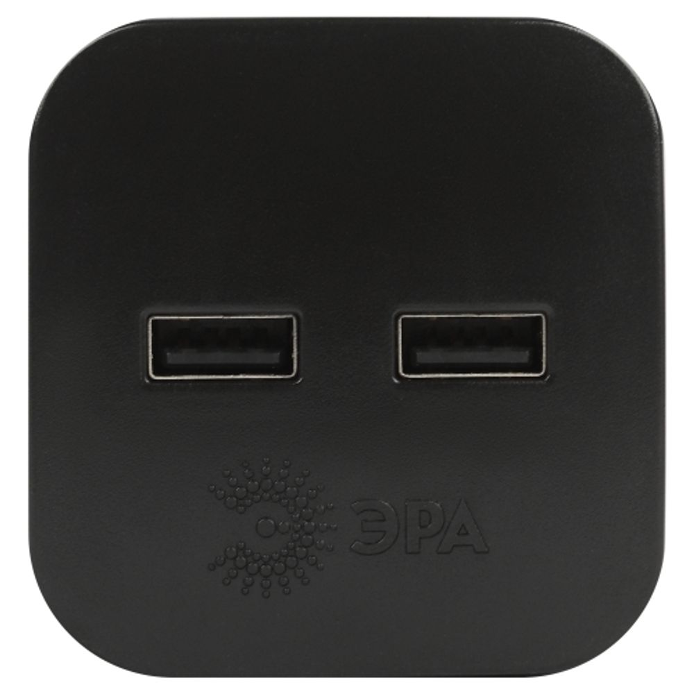 Разветвитель электрический ЭРА SP-2-USB-B на 2 розетки + 2xUSB 2400mA без заземления 10А черный | Электротовары