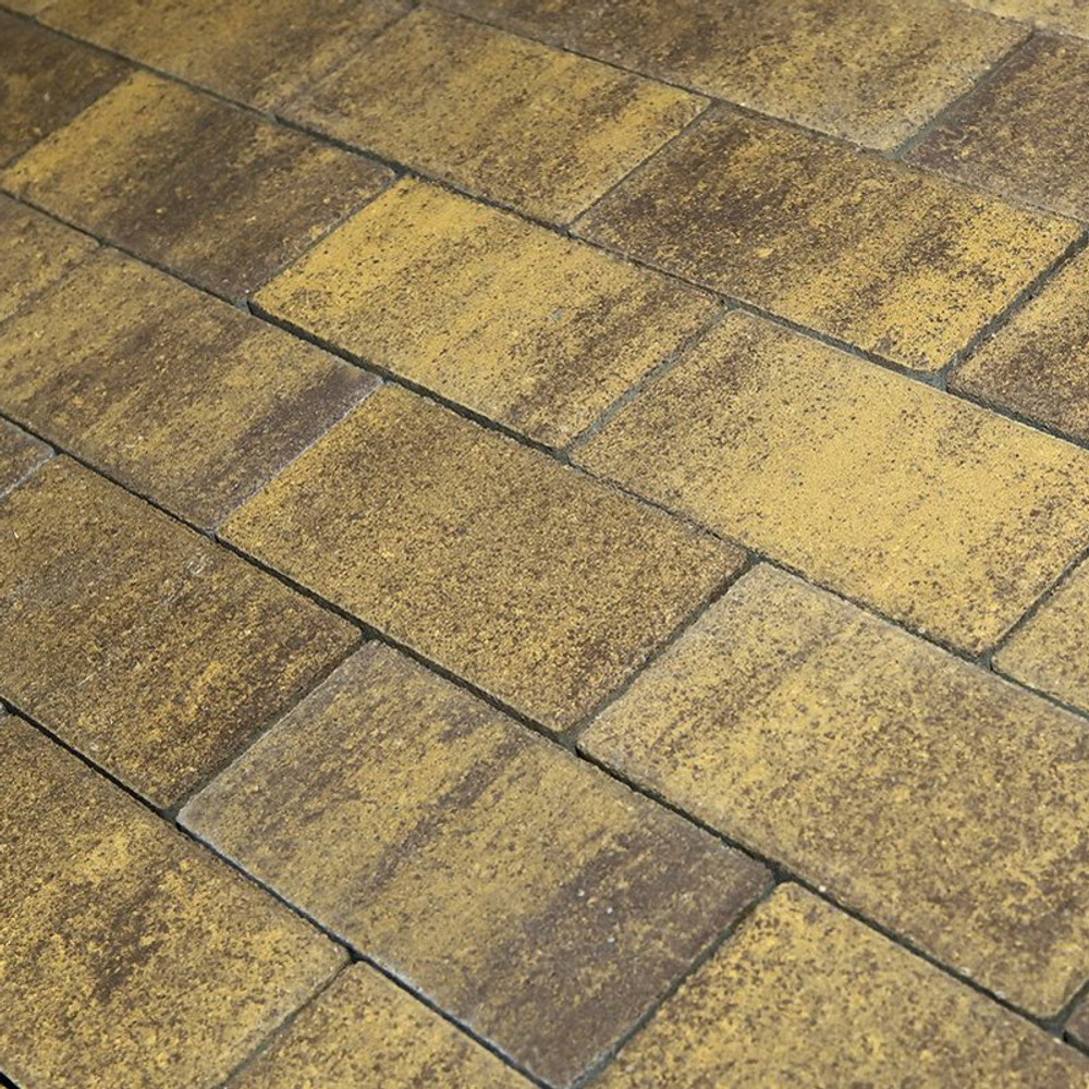 Тротуарная плитка ПРЯМОУГОЛЬНИК 200x100 мм - Листопад гладкий Янтарь