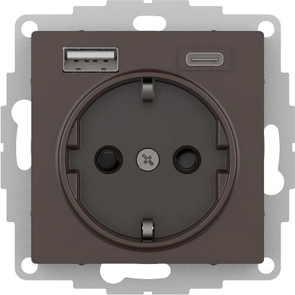 Розетка с заземлением с 2 USB  Systeme Electric ATN000632