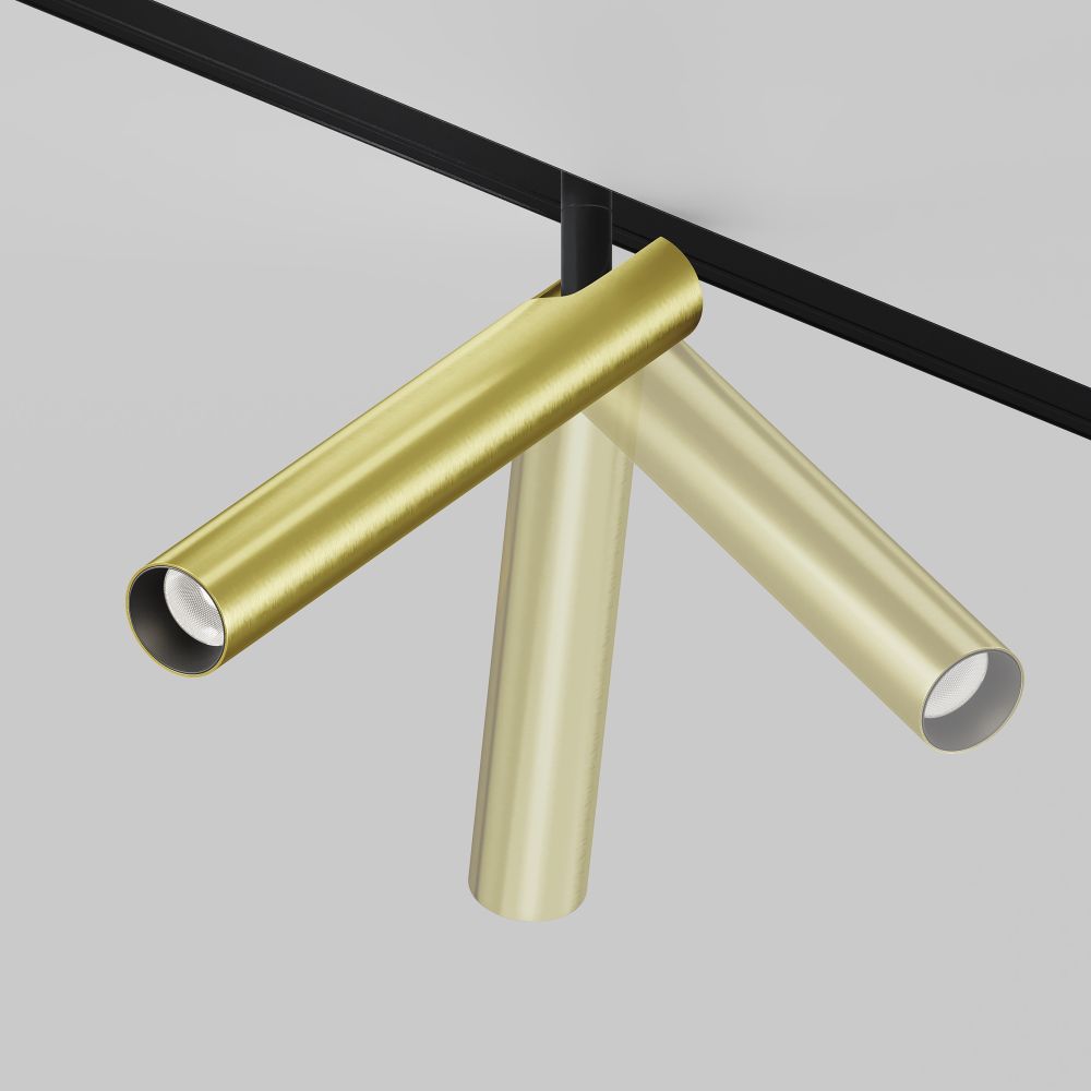 Трековый светильник светодиодный Maytoni Exility   TR141-2-6W4K-M-BS