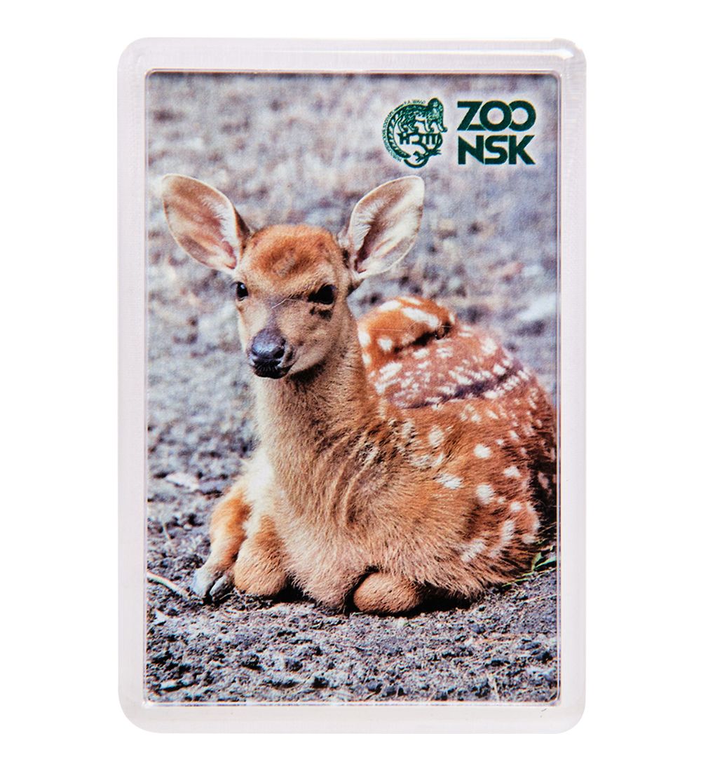 МТ- 001/07 Магнит «Новосибирский зоопарк»