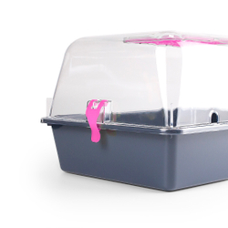 Террариум ZOOSET прозрачный серый/сиреневый - L (42х30,5х22,5 см)