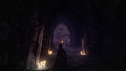 Shadwen (для ПК, цифровой код доступа)