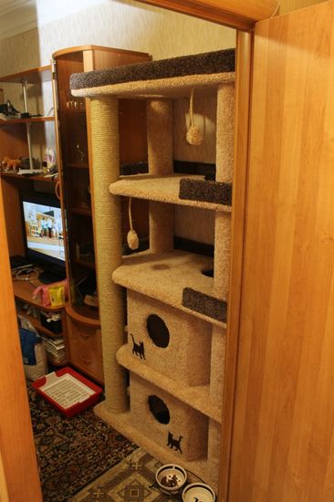 Дом для кота И-21 (мейн-кун)