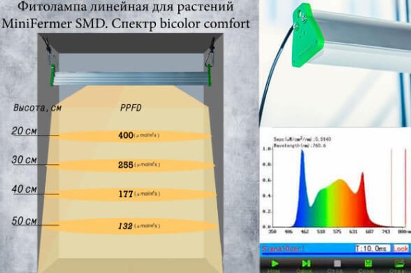 Фитолампа minifermer, инфографика с распределением ppfd и графиком спектра bicolor comfort