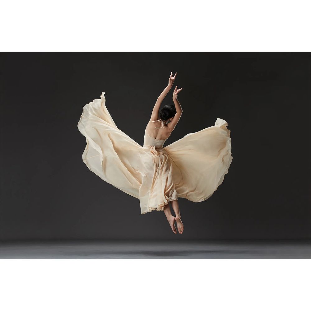 Вспышка аккумуляторная Godox Witstro AD600ProII