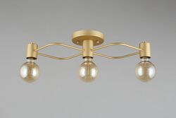 Потолочная люстра Aployt Elison APL.911.07.03