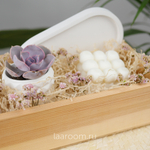 Подарочный бокс суккулент + свеча №4