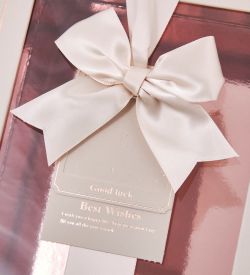 WF-172/3-A Коробка бол., пудровый