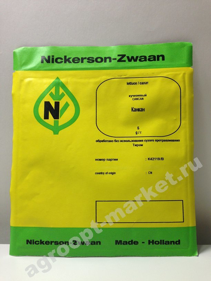 Канкан семена салата листового (Hazera / Хазера) – фото 2