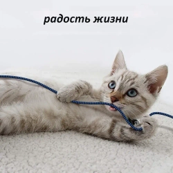 Кабель удлинитель USB 3.0 Aioneus (3метрa)/ для мобильный телефон, PS3, PS4, клавиатура, принтер, компьютер, телевизор