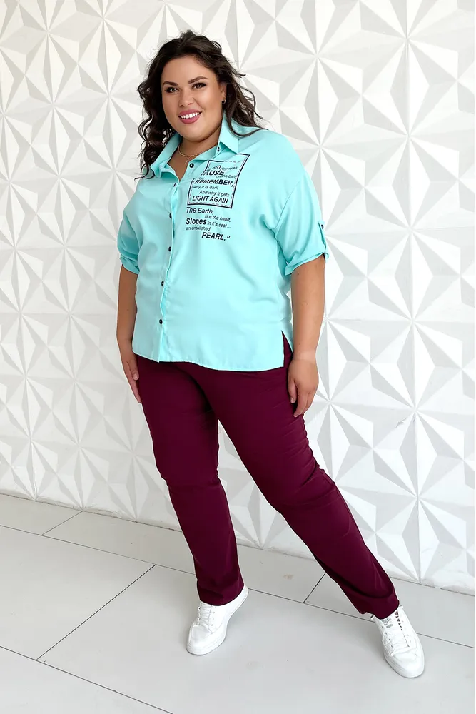 Брюки 2460 Fabrika