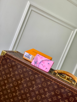 Louis Vuitton Pocket Organizer