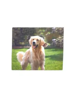 Футляр для очков