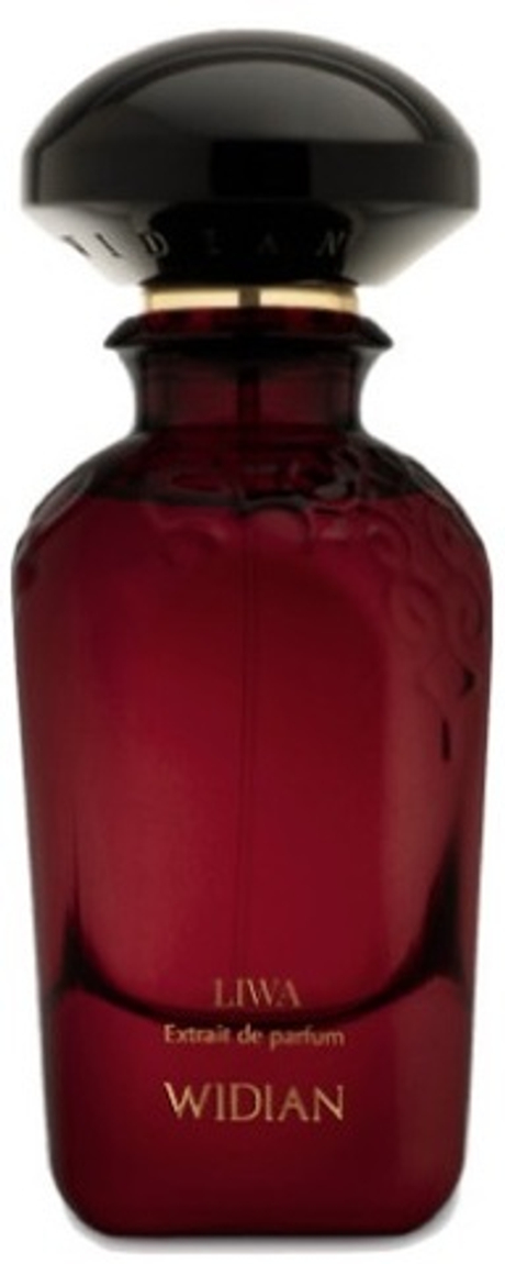 Aj Arabia Widian Liwa