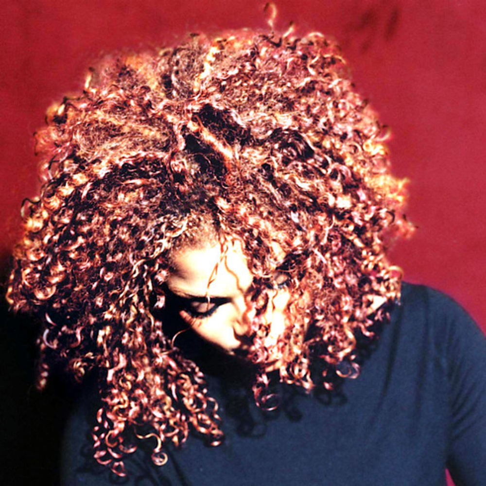Janet Jackson / The Velvet Rope (2LP)