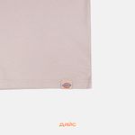  Футболка мужская Dickies Saltville Tee артикул:DK0A4YR9SS01 - купить в магазине Дайс