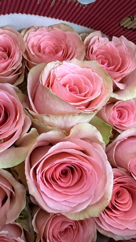 7 роз в упаковке