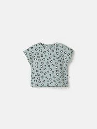 предметное