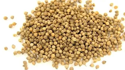 Кориандр (плод)