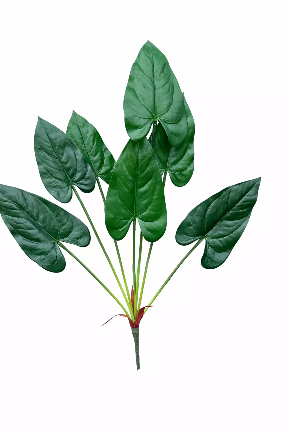 Куст Антуриума 7 листьев 76см