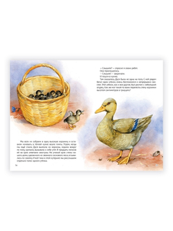 Рассказы о животных. Внеклассное чтение