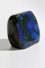 Срез Лабрадора S