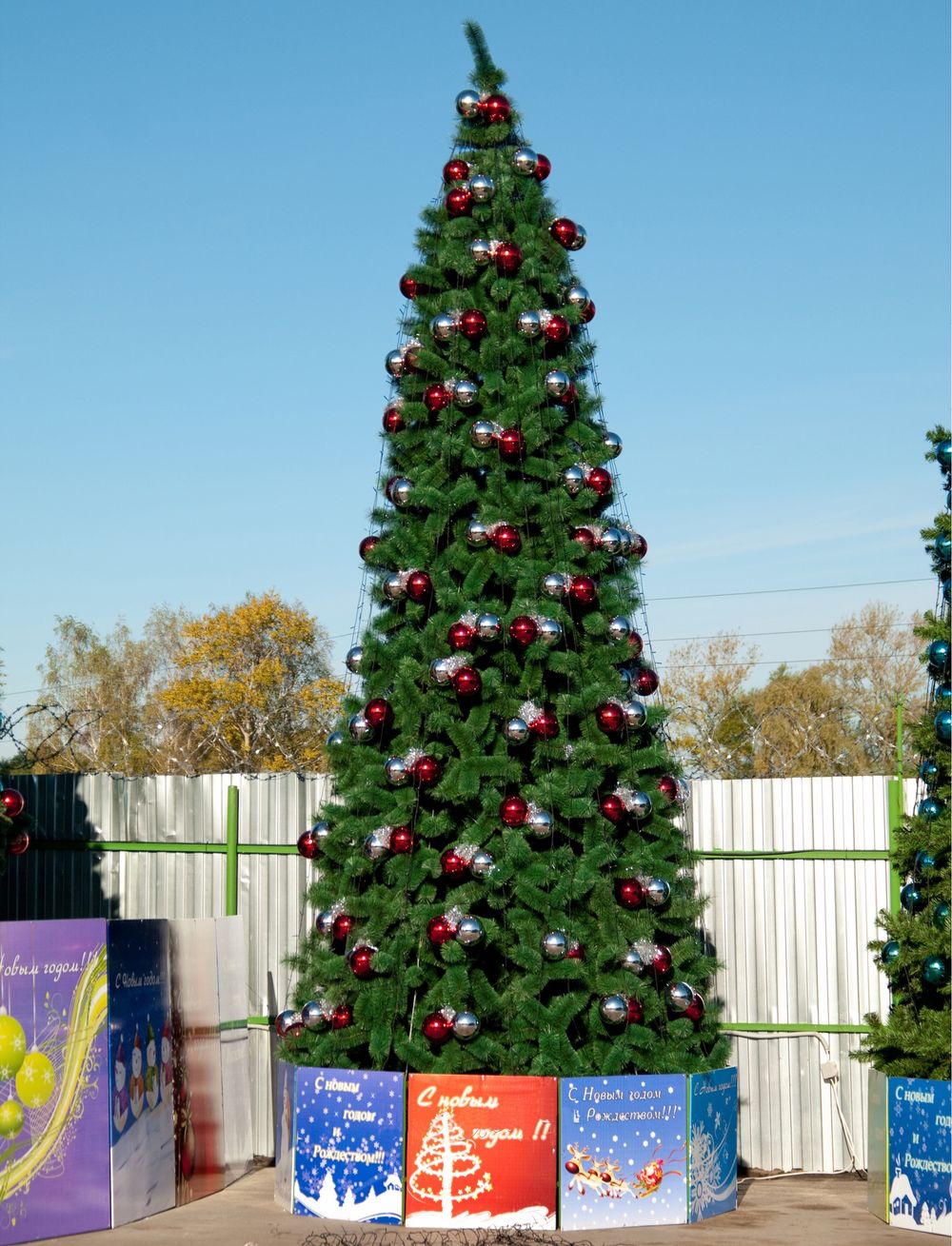 сосна Евро2 уличная ствольная