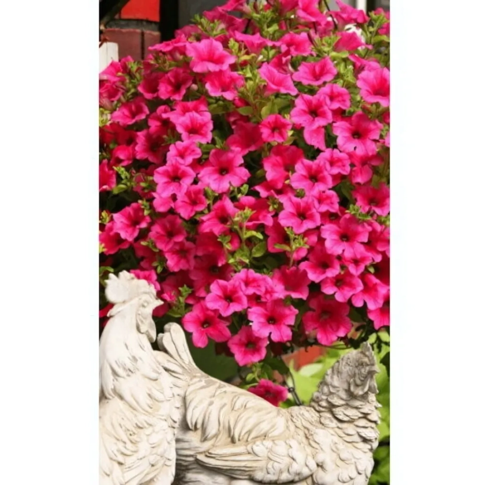 Семена Петуния многоцетковая Пинк Парадайз 0,05гр F1 (УД) Е/П