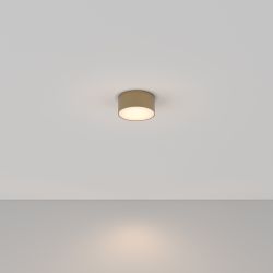 Светильник потолочный светодиодный Maytoni Zon C032CL-12W3K-RD-MG