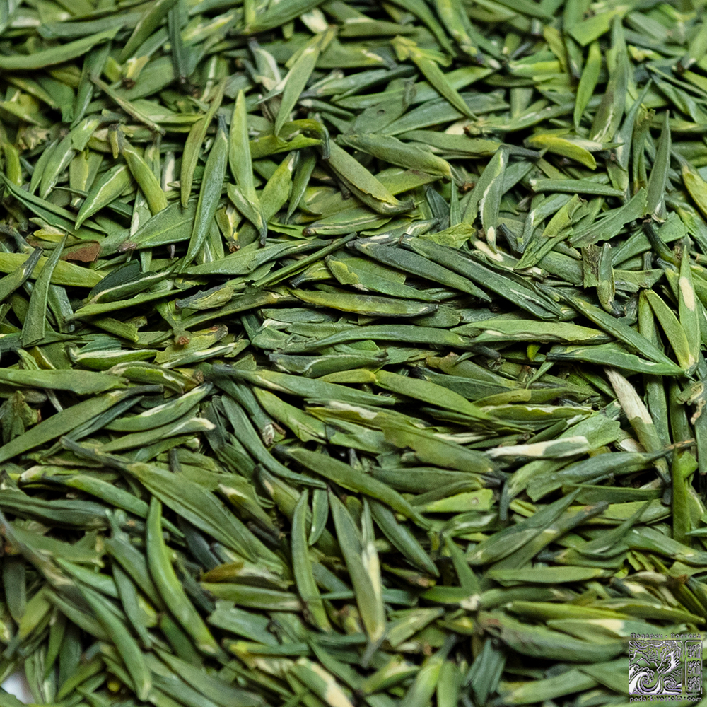 Зеленый чай «Чжу Е Цин», весна 2024